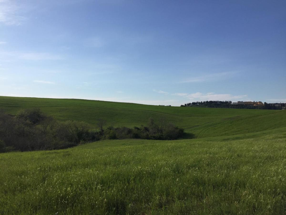 Agriturismo San Leone Volterra Bagian luar foto